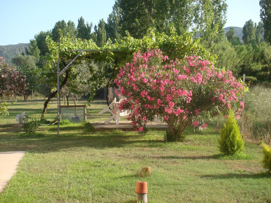 סיקיה Villa Angela מראה חיצוני תמונה