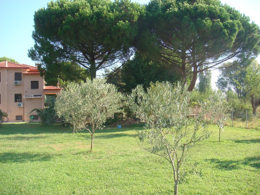 סיקיה Villa Angela מראה חיצוני תמונה